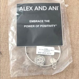 alex and ani blackhawks charm bracelet